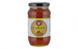 Organic Nation Organic Wild Forest Honey   Glass Jar  500 grams